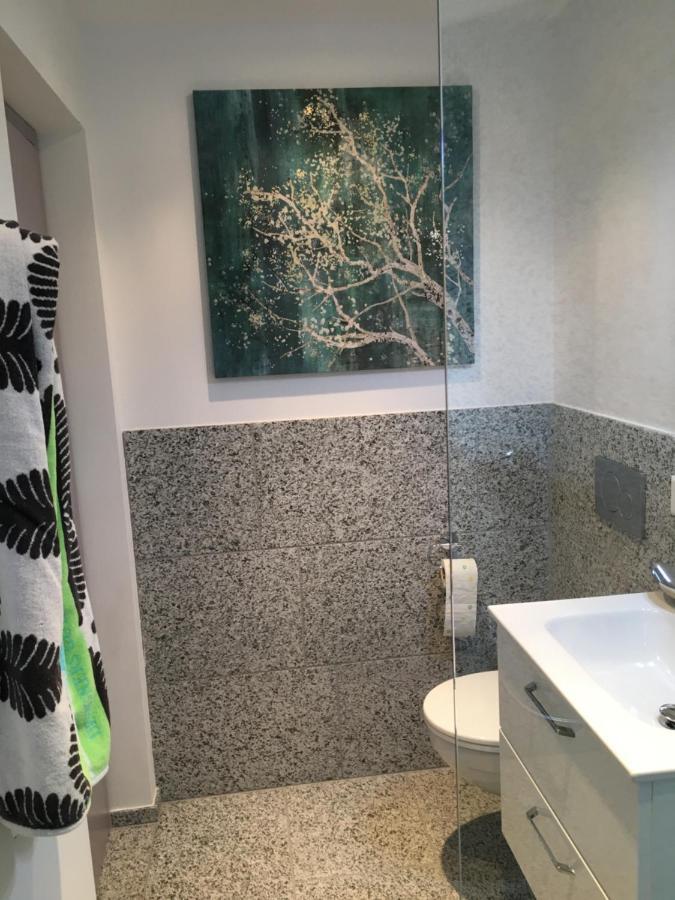 Rustico Resa: Brione Sopra Minusio Villa ภายนอก รูปภาพ